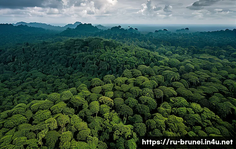 브루나이의 생태계 위협 - A detailed, vibrant tropical rainforest scene in Brunei showing a diverse range of flora and fauna u...