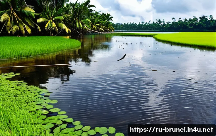브루나이의 생태계 위협 관련 이미지 1