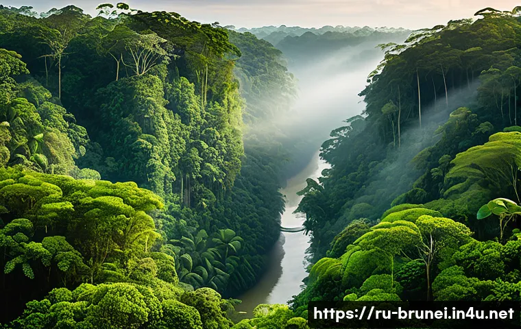 브루나이와 말레이시아 비교 - A serene tropical rainforest scene from Brunei’s Ulu Temburong National Park, showcasing lush green ...